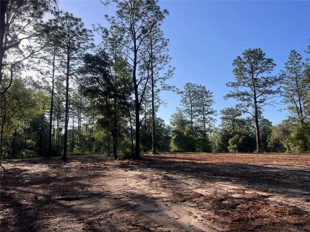 24 SE 130 Court Dunnellon FL 34431