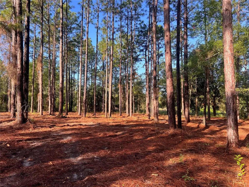 24 SE 130 Court Dunnellon FL 34431