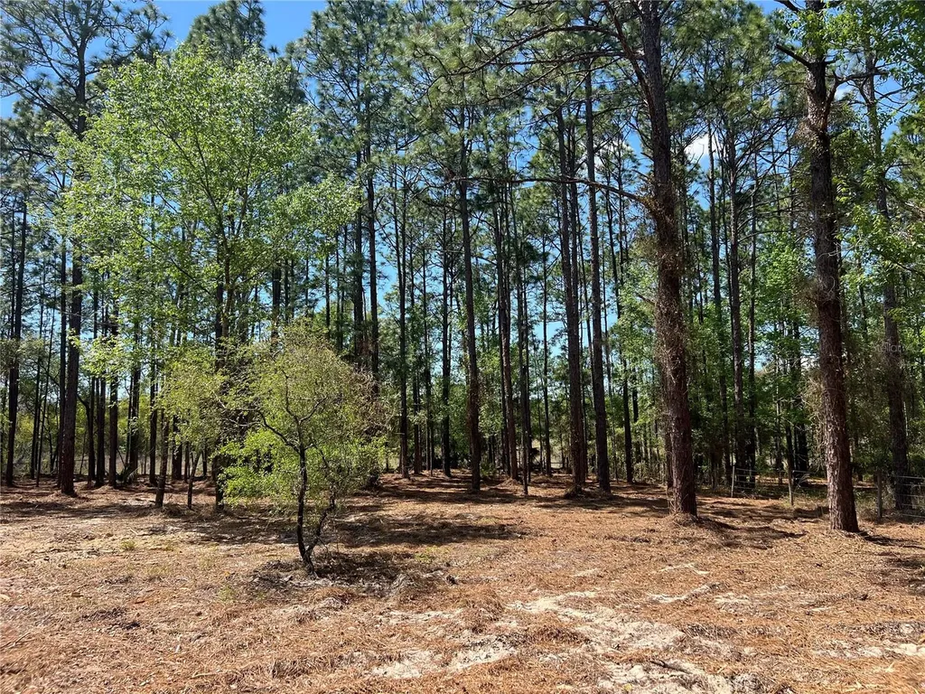 24 SE 130 Court Dunnellon FL 34431