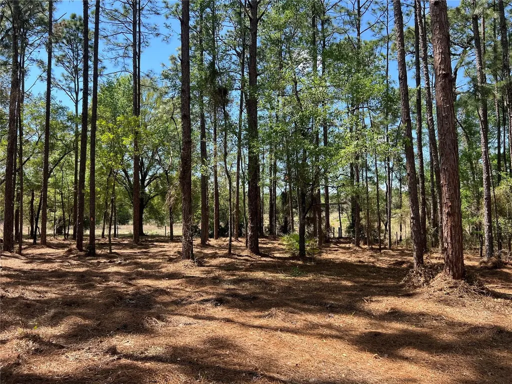 24 SE 130 Court Dunnellon FL 34431