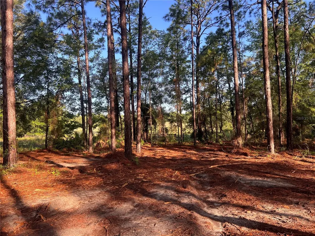 24 SE 130 Court Dunnellon FL 34431