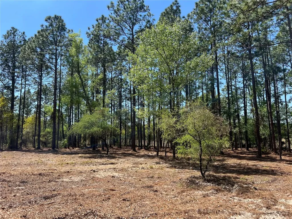 24 SE 130 Court Dunnellon FL 34431