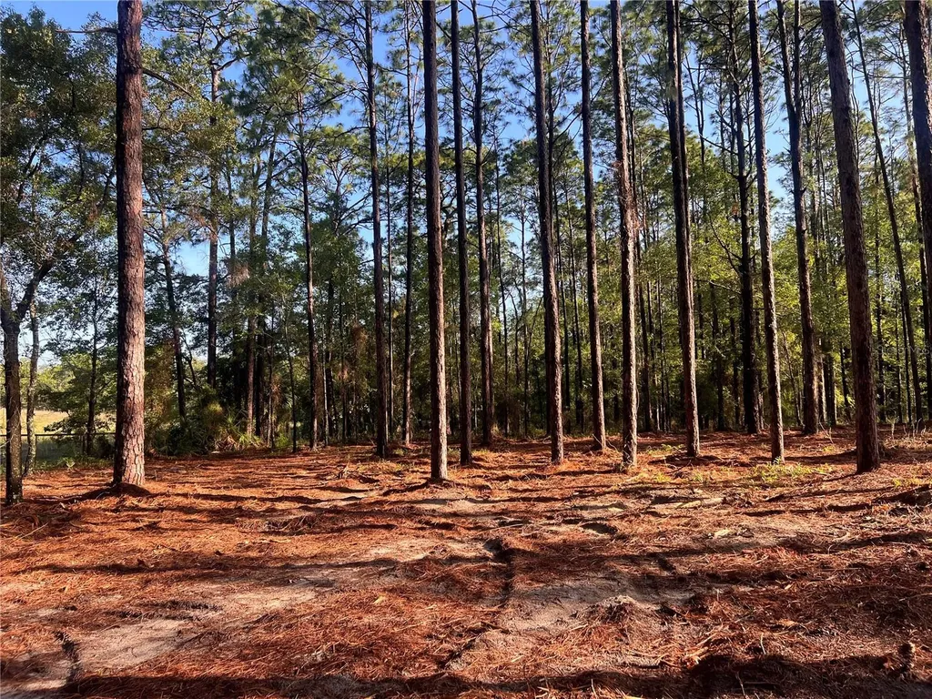 24 SE 130 Court Dunnellon FL 34431