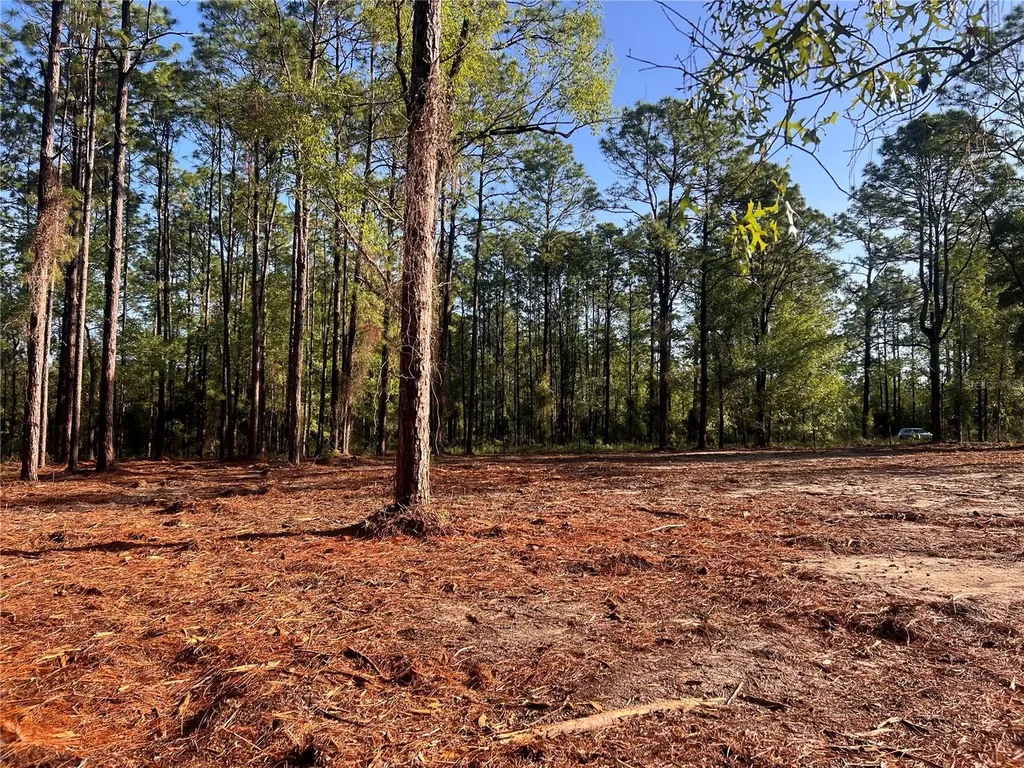 24 SE 130 Court Dunnellon FL 34431