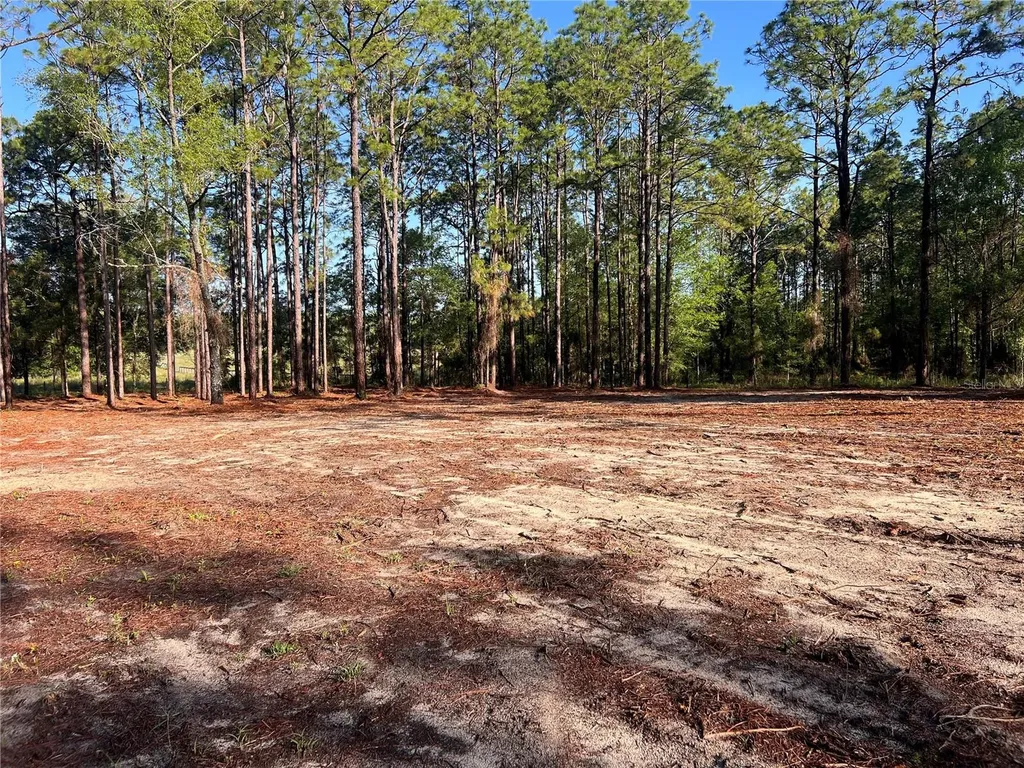 24 SE 130 Court Dunnellon FL 34431