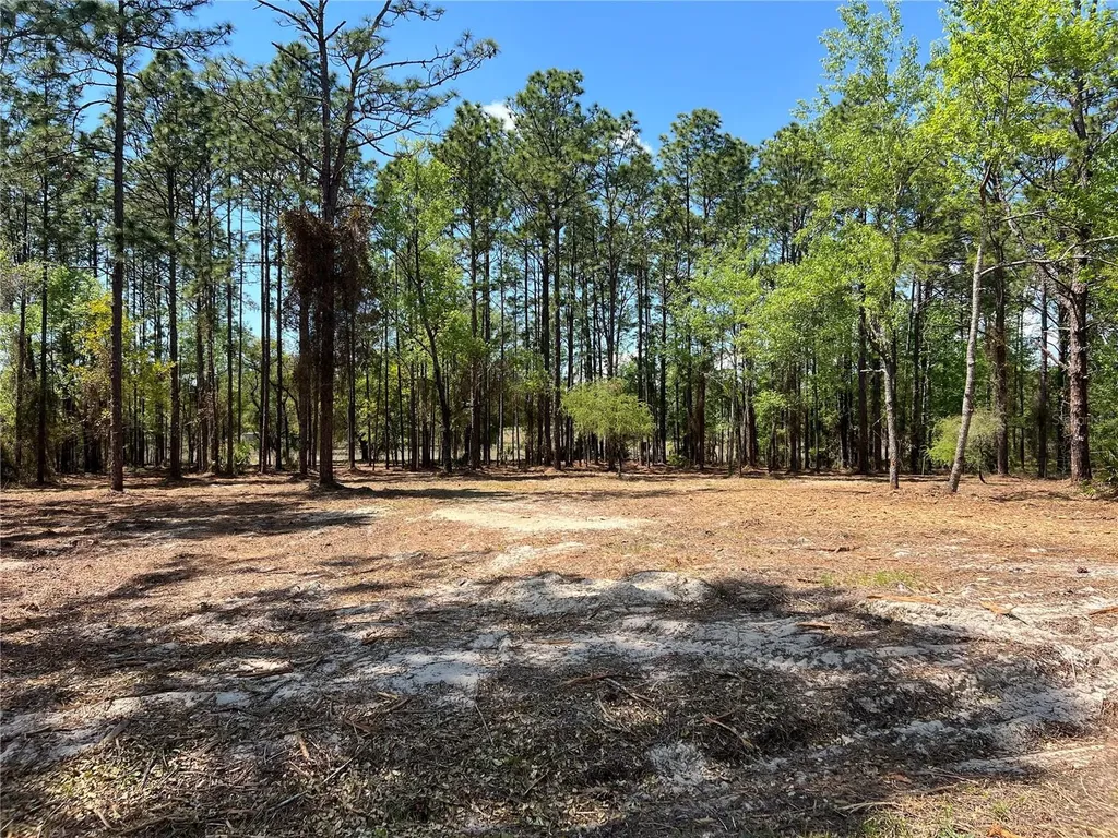24 SE 130 Court Dunnellon FL 34431