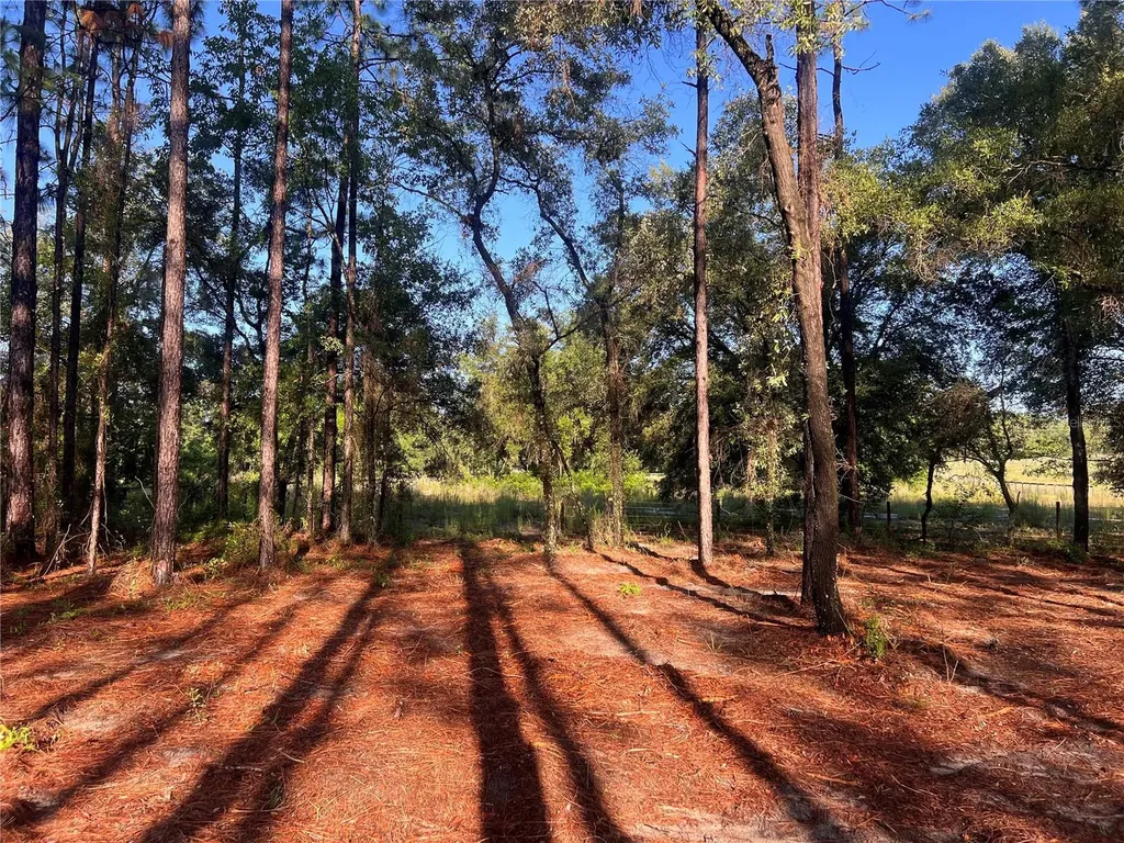 24 SE 130 Court Dunnellon FL 34431