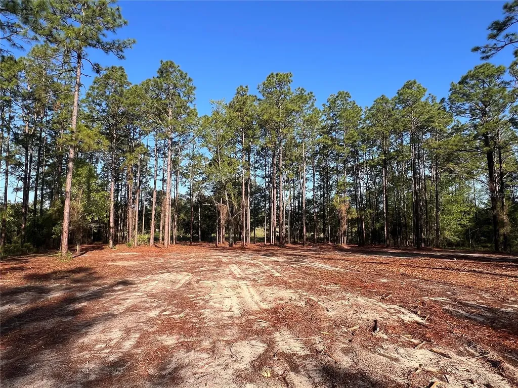 24 SE 130 Court Dunnellon FL 34431