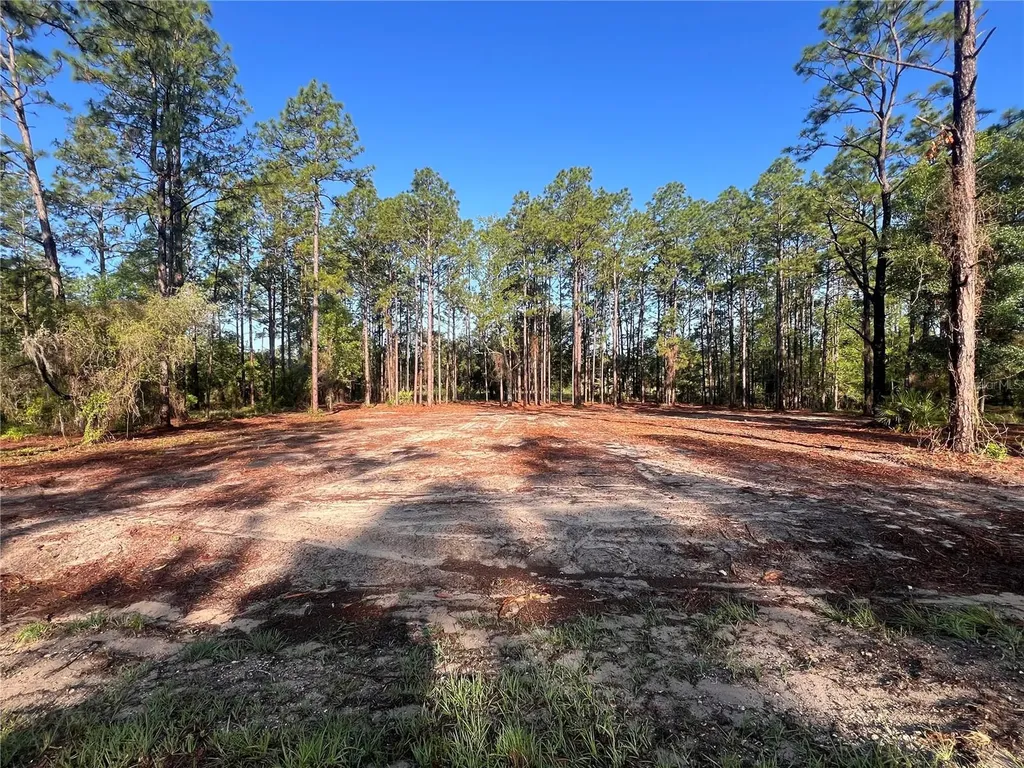 24 SE 130 Court Dunnellon FL 34431