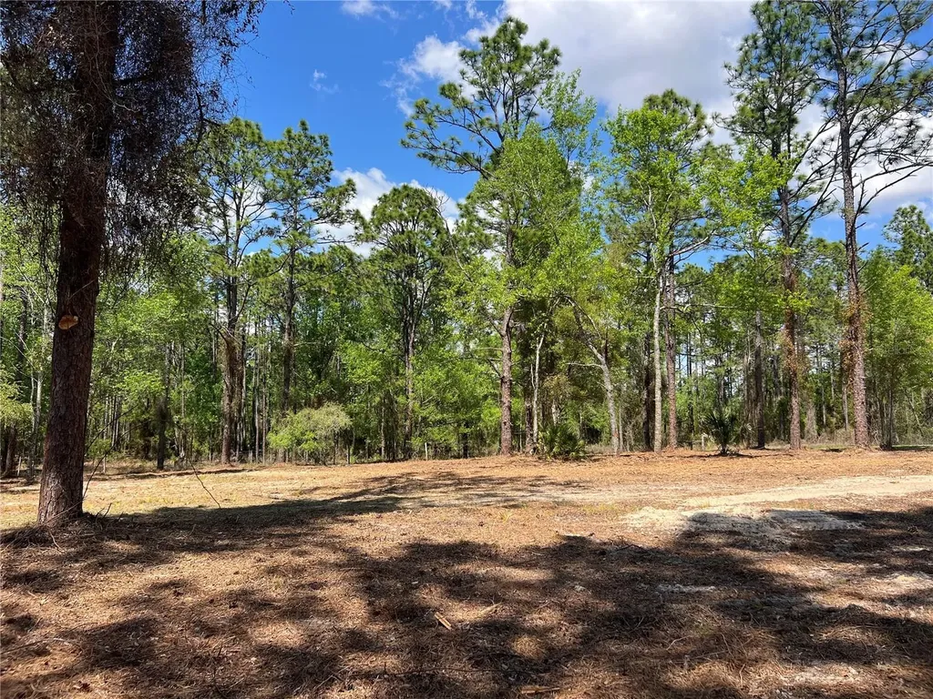 24 SE 130 Court Dunnellon FL 34431