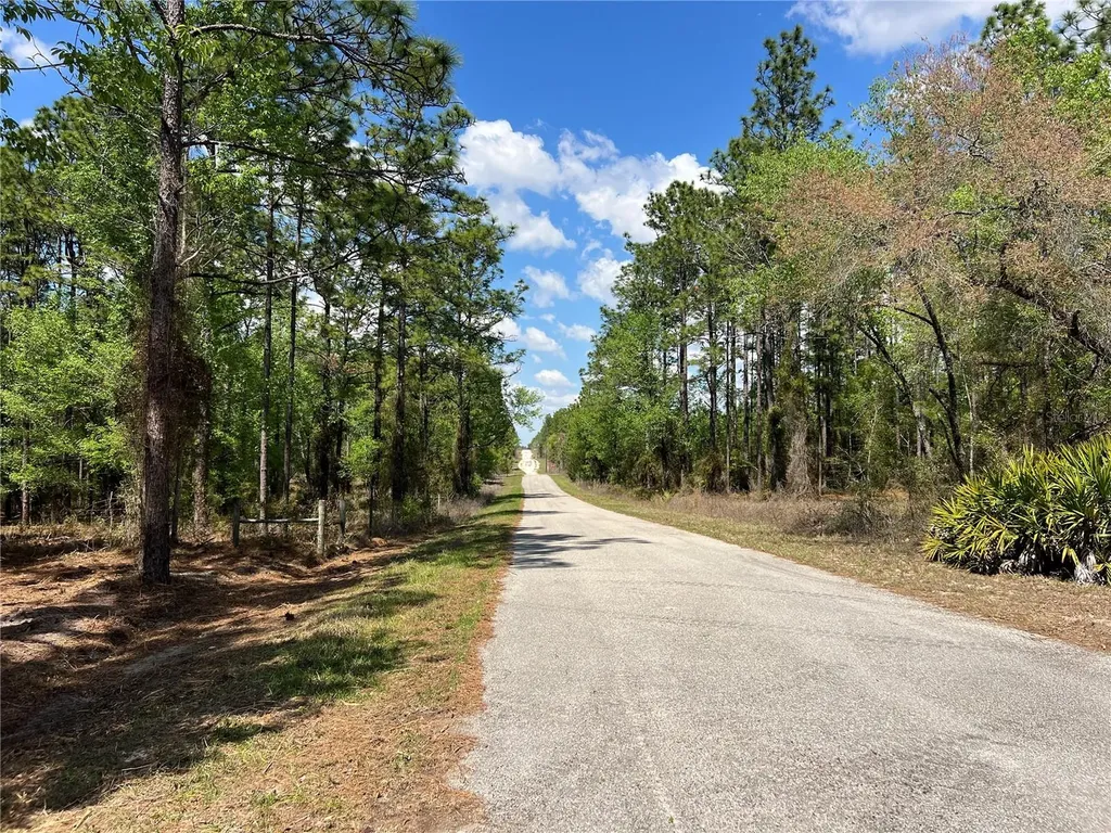24 SE 130 Court Dunnellon FL 34431