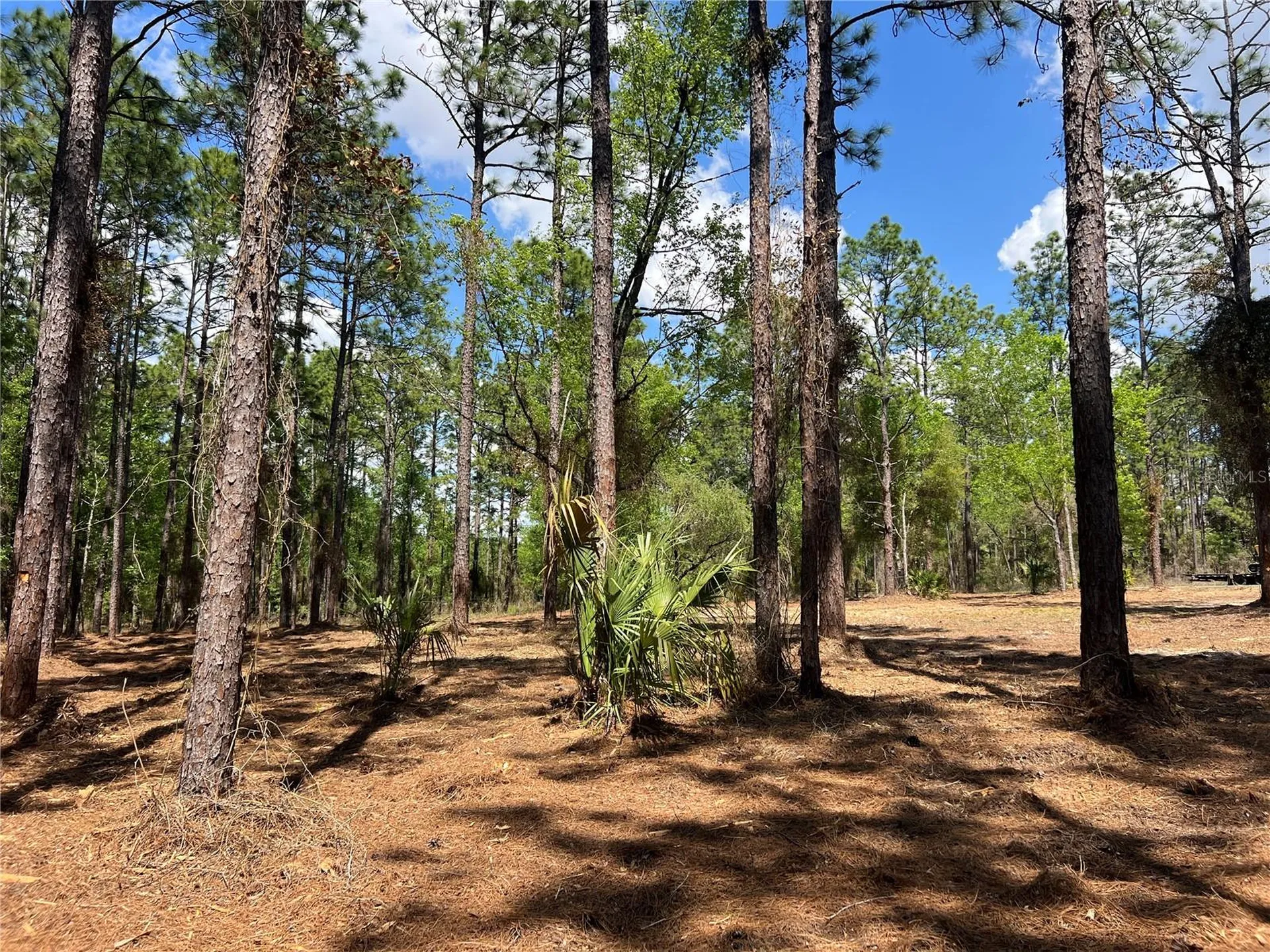 24 SE 130 Court Dunnellon FL 34431