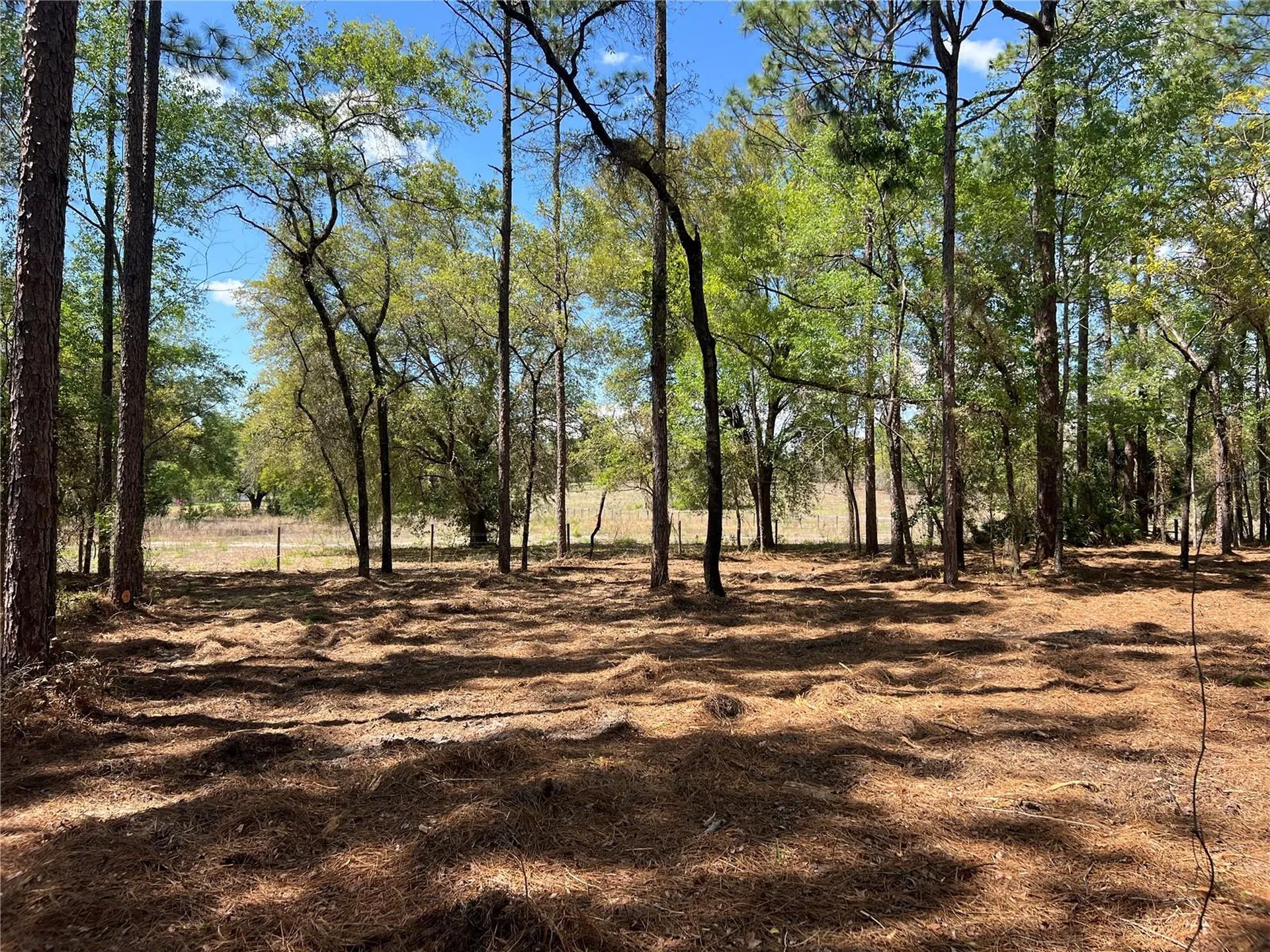 24 SE 130 Court Dunnellon FL 34431