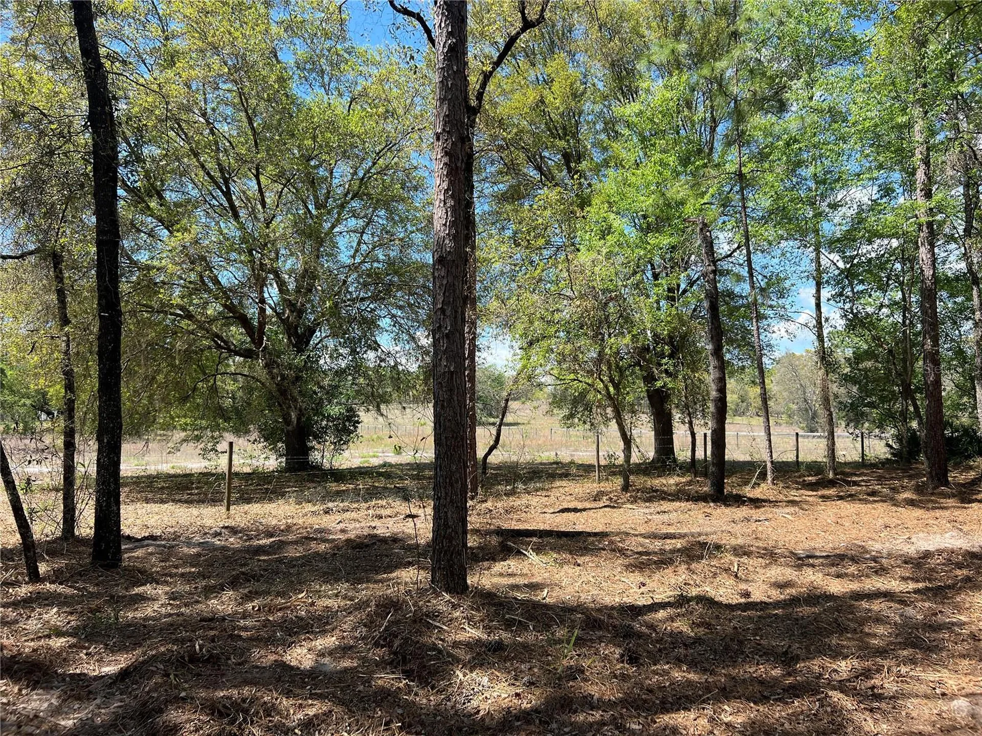 24 SE 130 Court Dunnellon FL 34431
