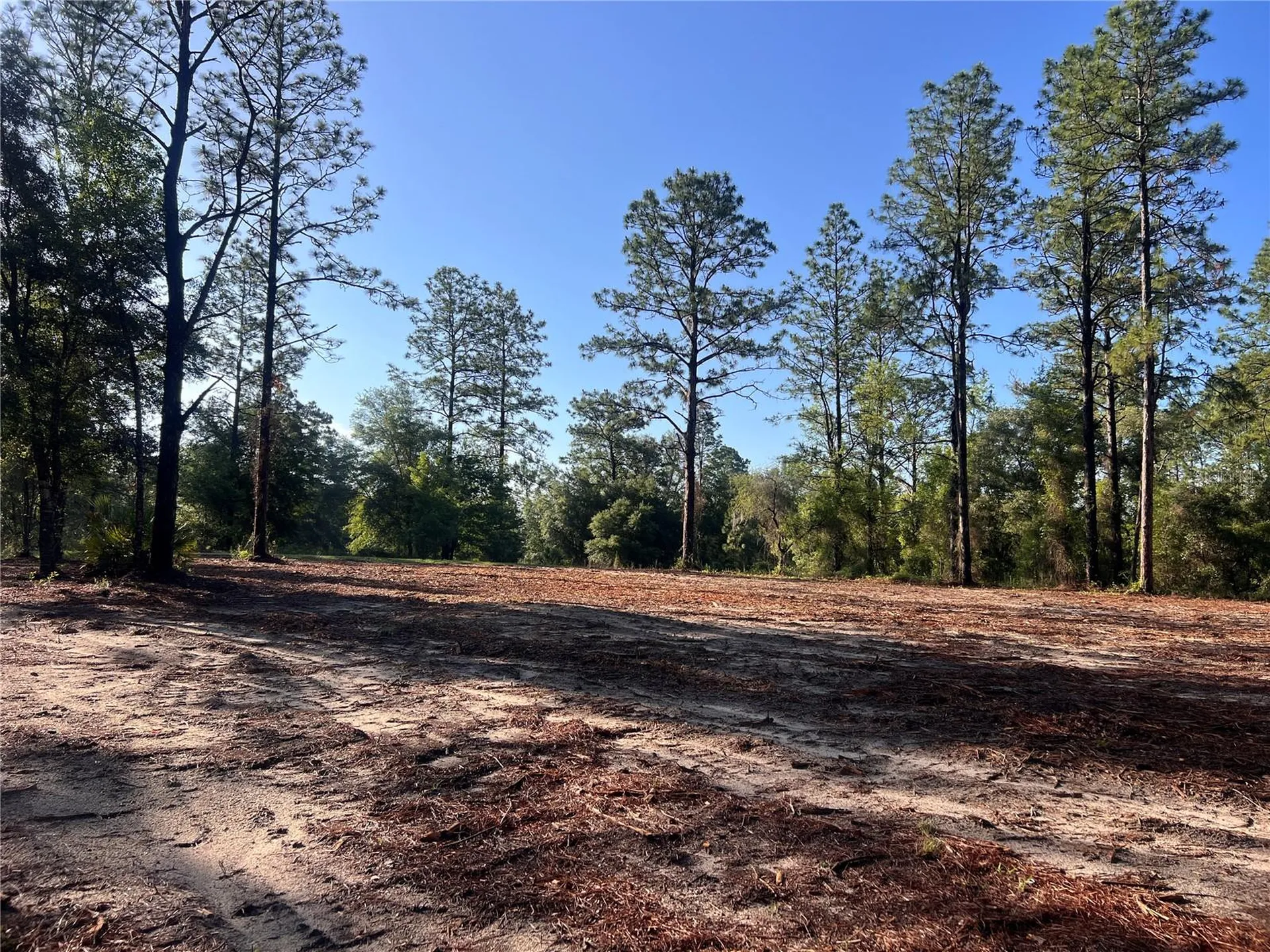24 SE 130 Court Dunnellon FL 34431
