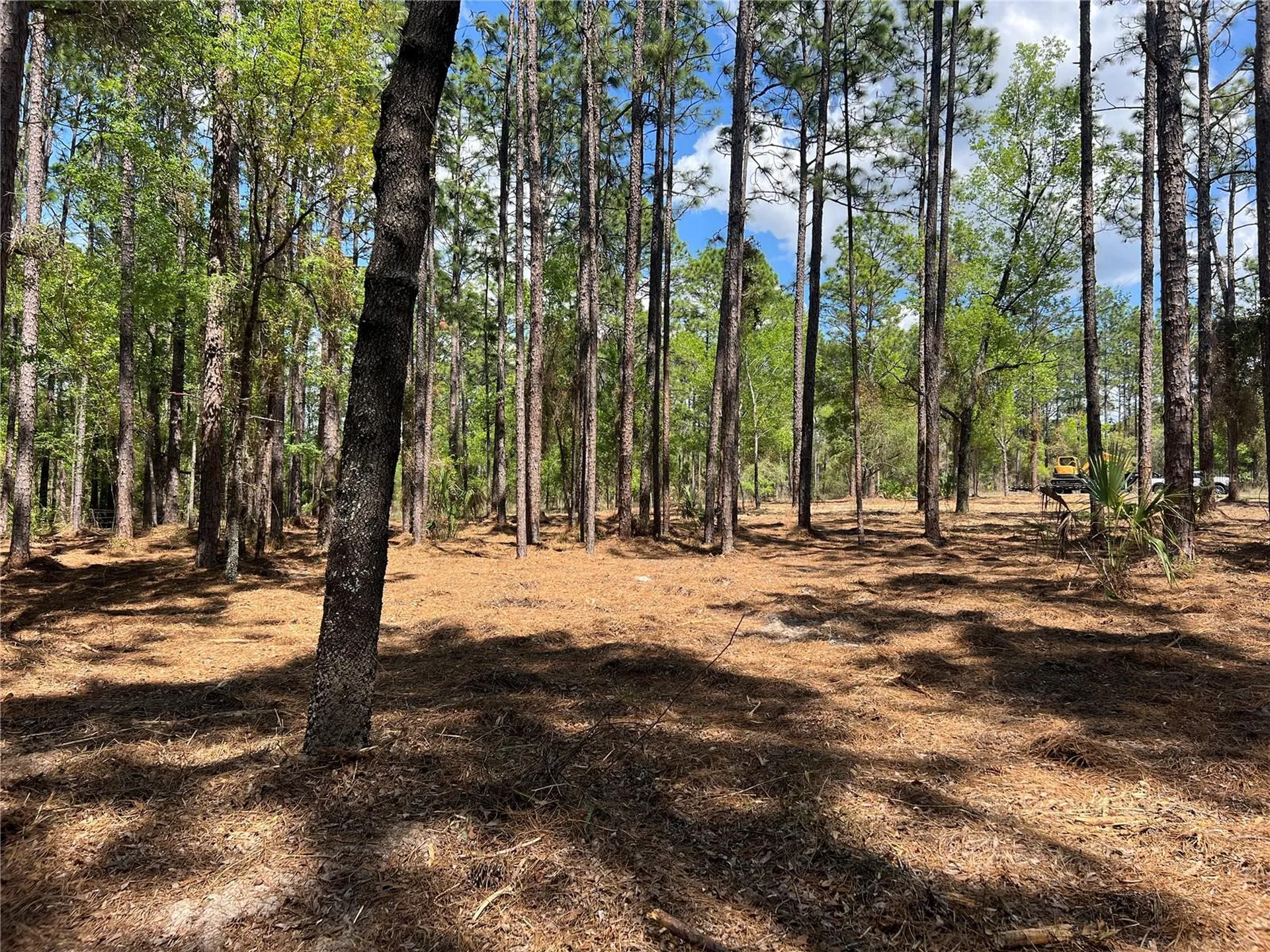 24 SE 130 Court Dunnellon FL 34431