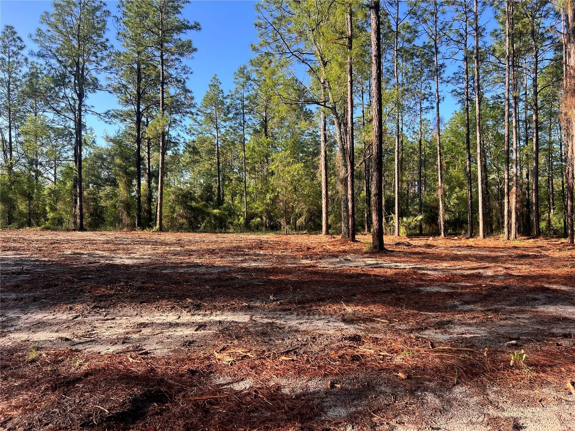 24 SE 130 Court Dunnellon FL 34431