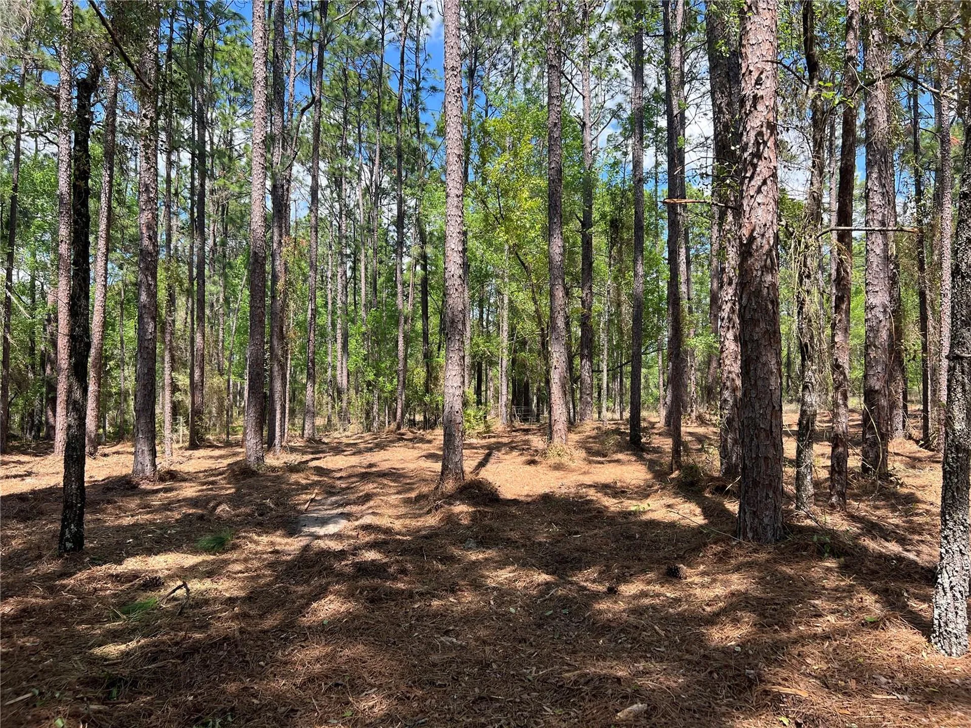 24 SE 130 Court Dunnellon FL 34431