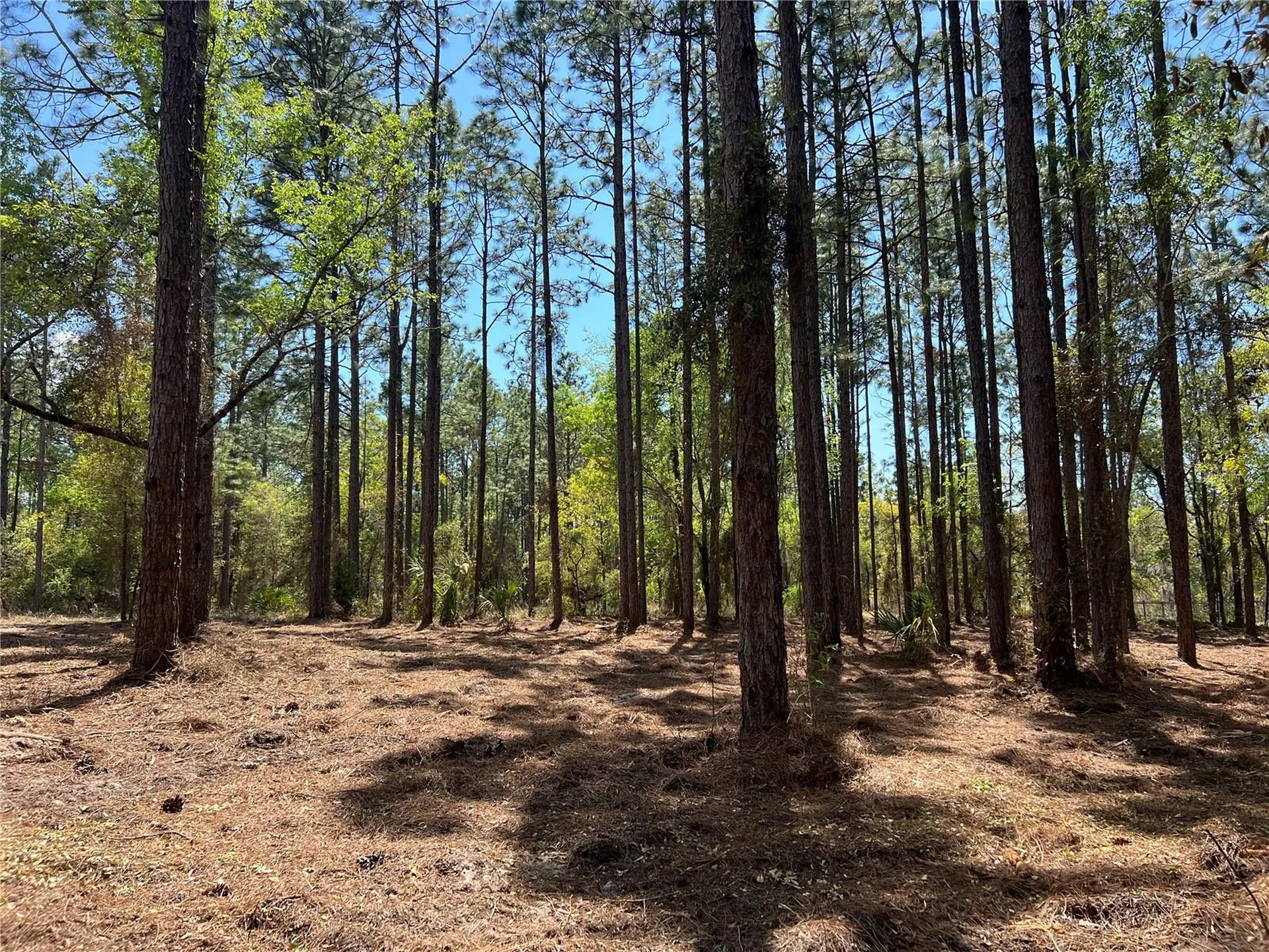 24 SE 130 Court Dunnellon FL 34431