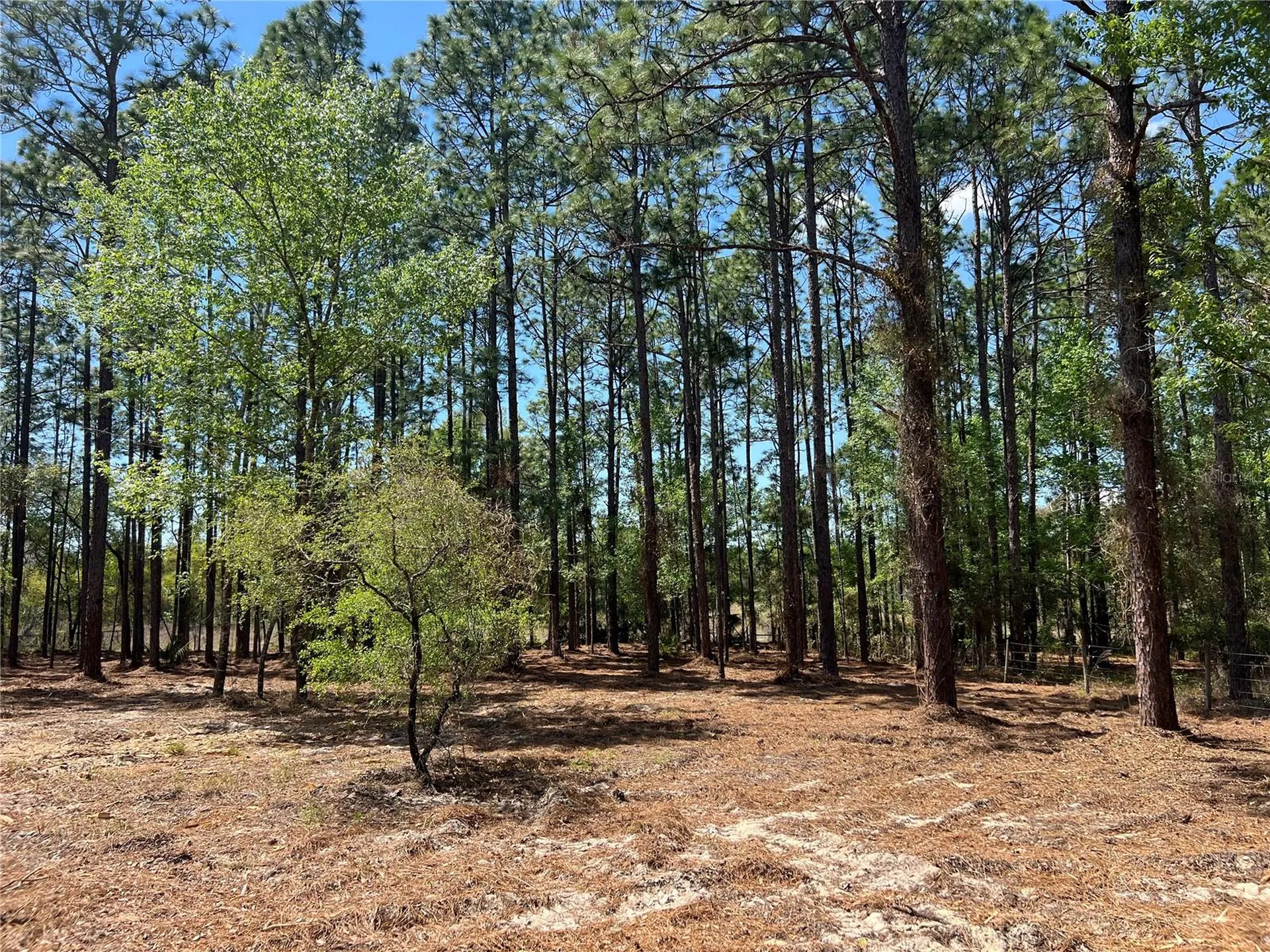 24 SE 130 Court Dunnellon FL 34431