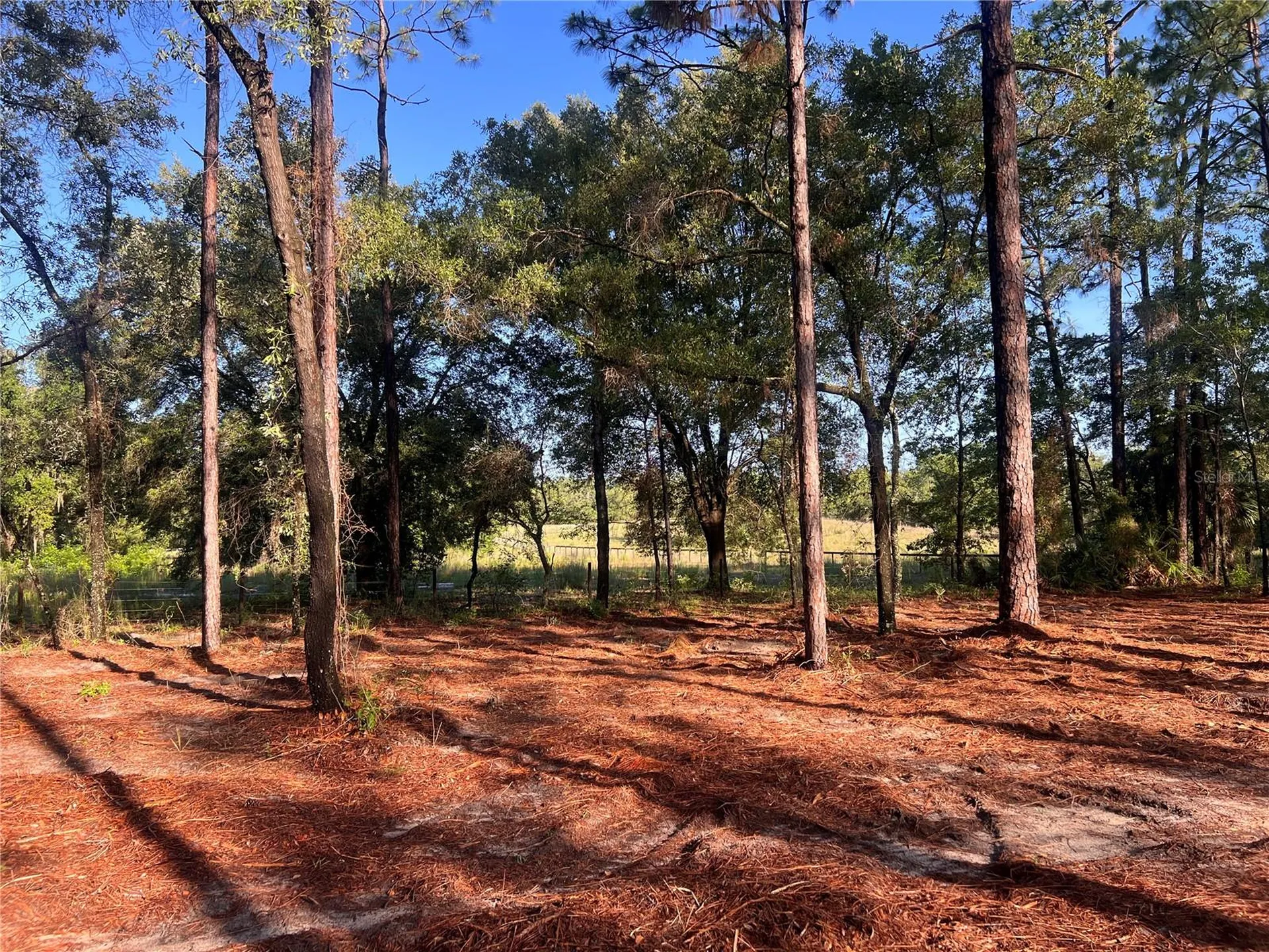 24 SE 130 Court Dunnellon FL 34431