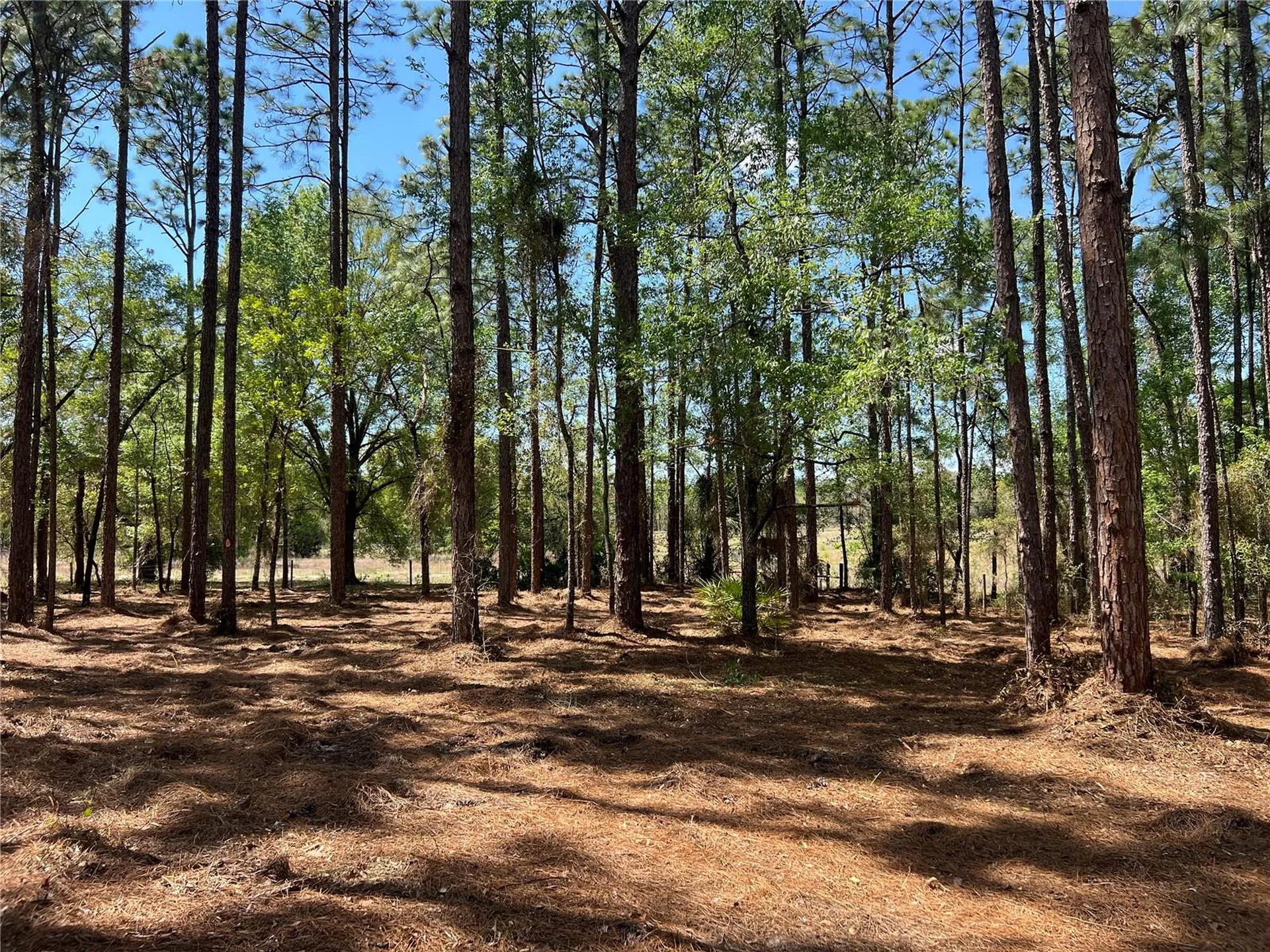 24 SE 130 Court Dunnellon FL 34431