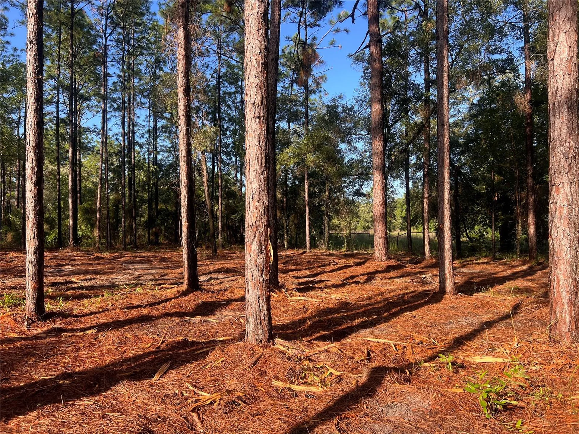 24 SE 130 Court Dunnellon FL 34431