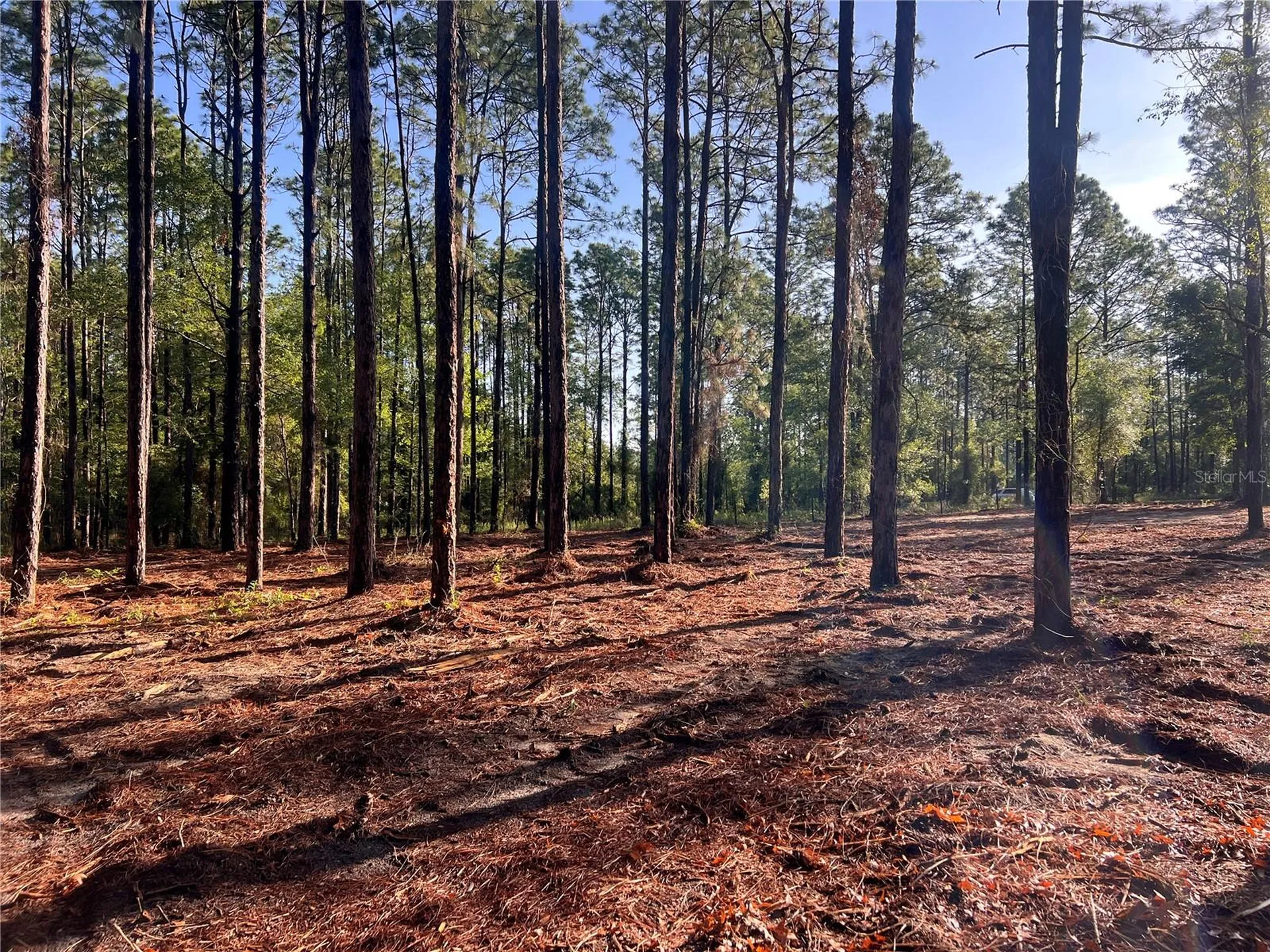 24 SE 130 Court Dunnellon FL 34431