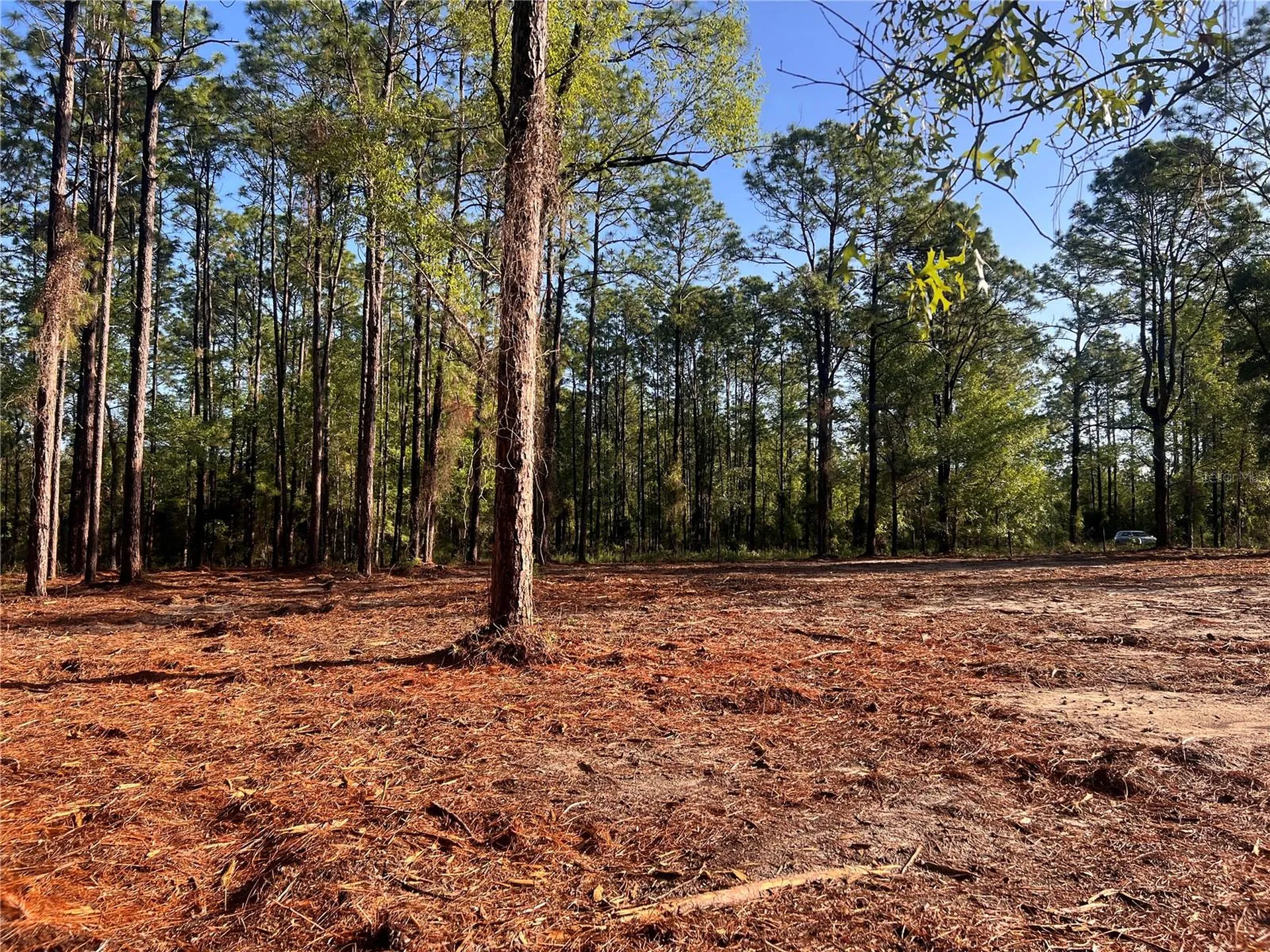 24 SE 130 Court Dunnellon FL 34431