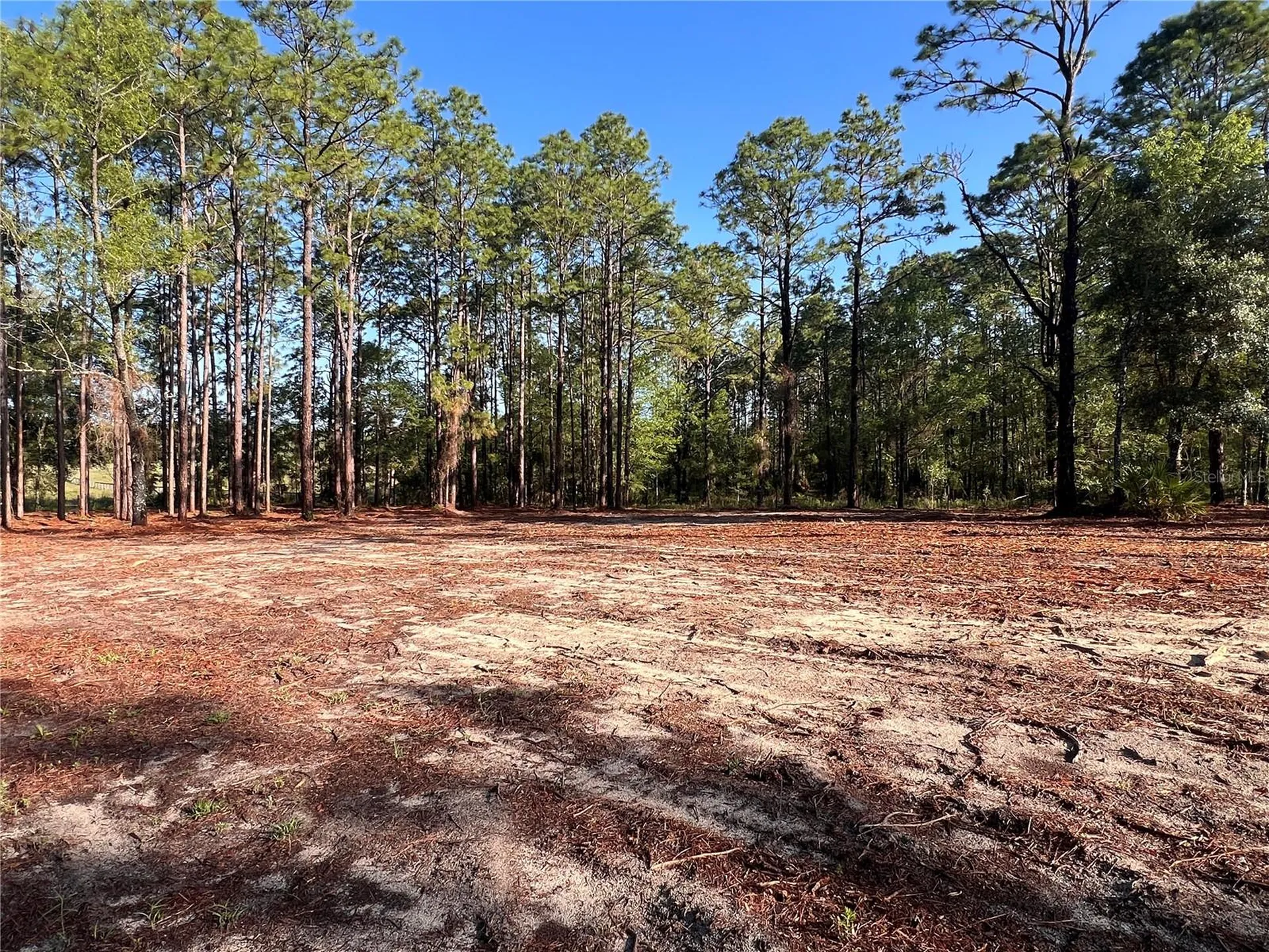24 SE 130 Court Dunnellon FL 34431