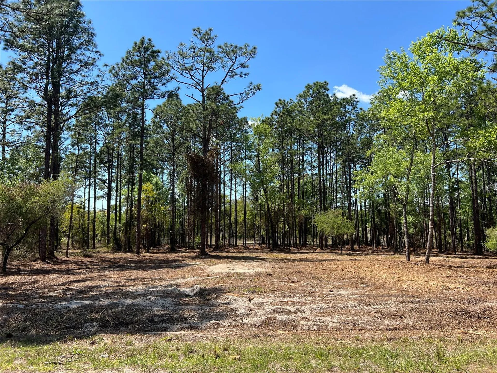 24 SE 130 Court Dunnellon FL 34431
