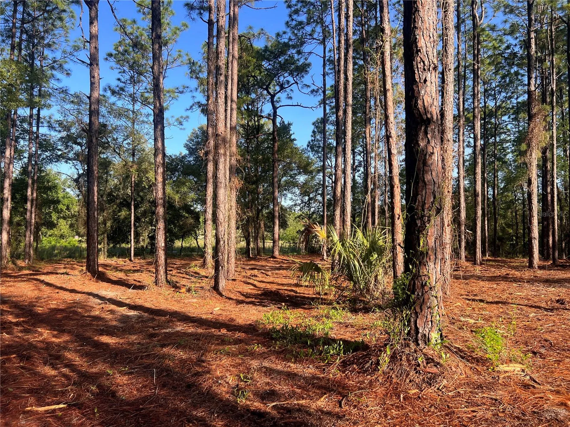 24 SE 130 Court Dunnellon FL 34431