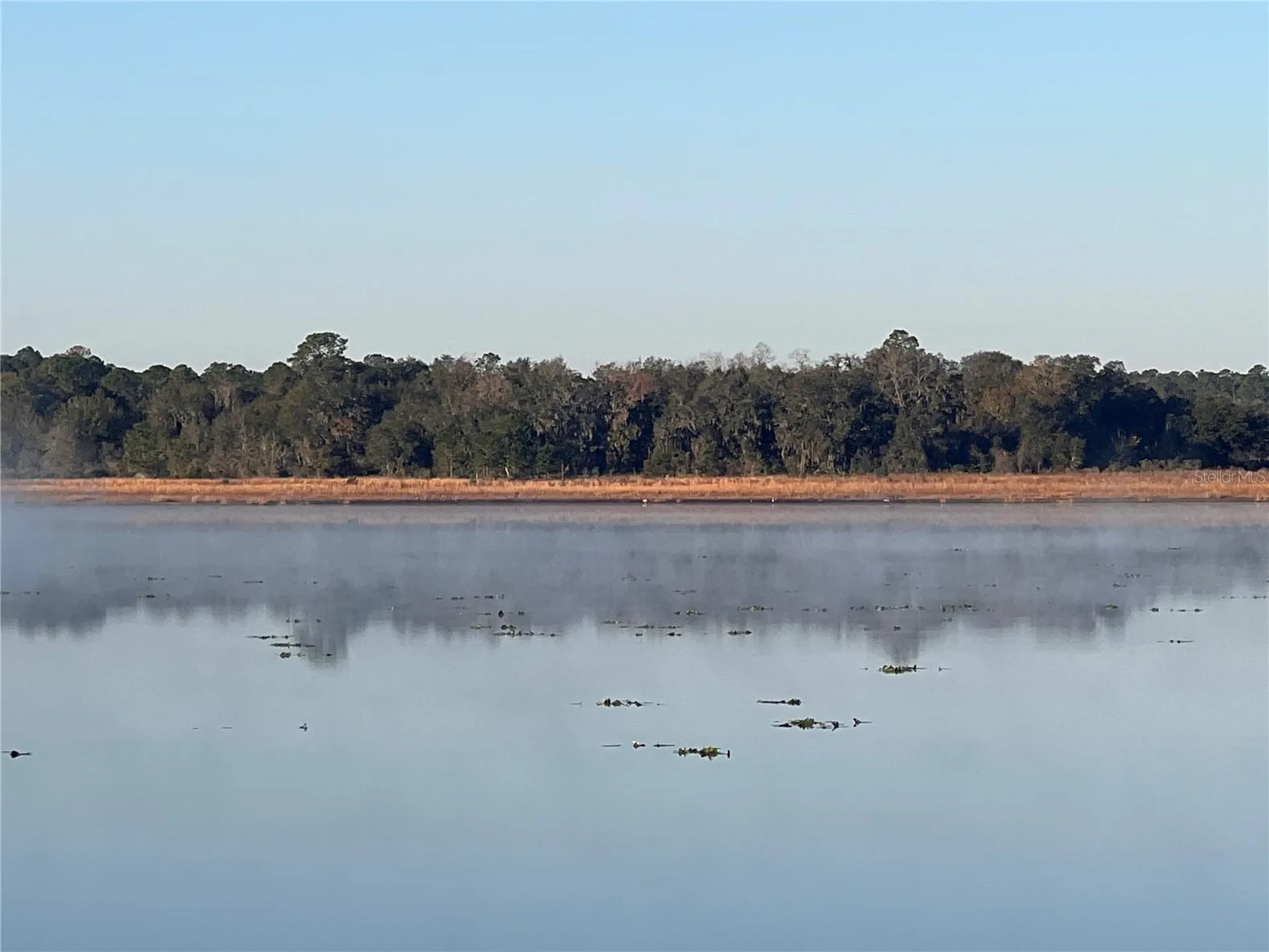 24 SE 130 Court Dunnellon FL 34431
