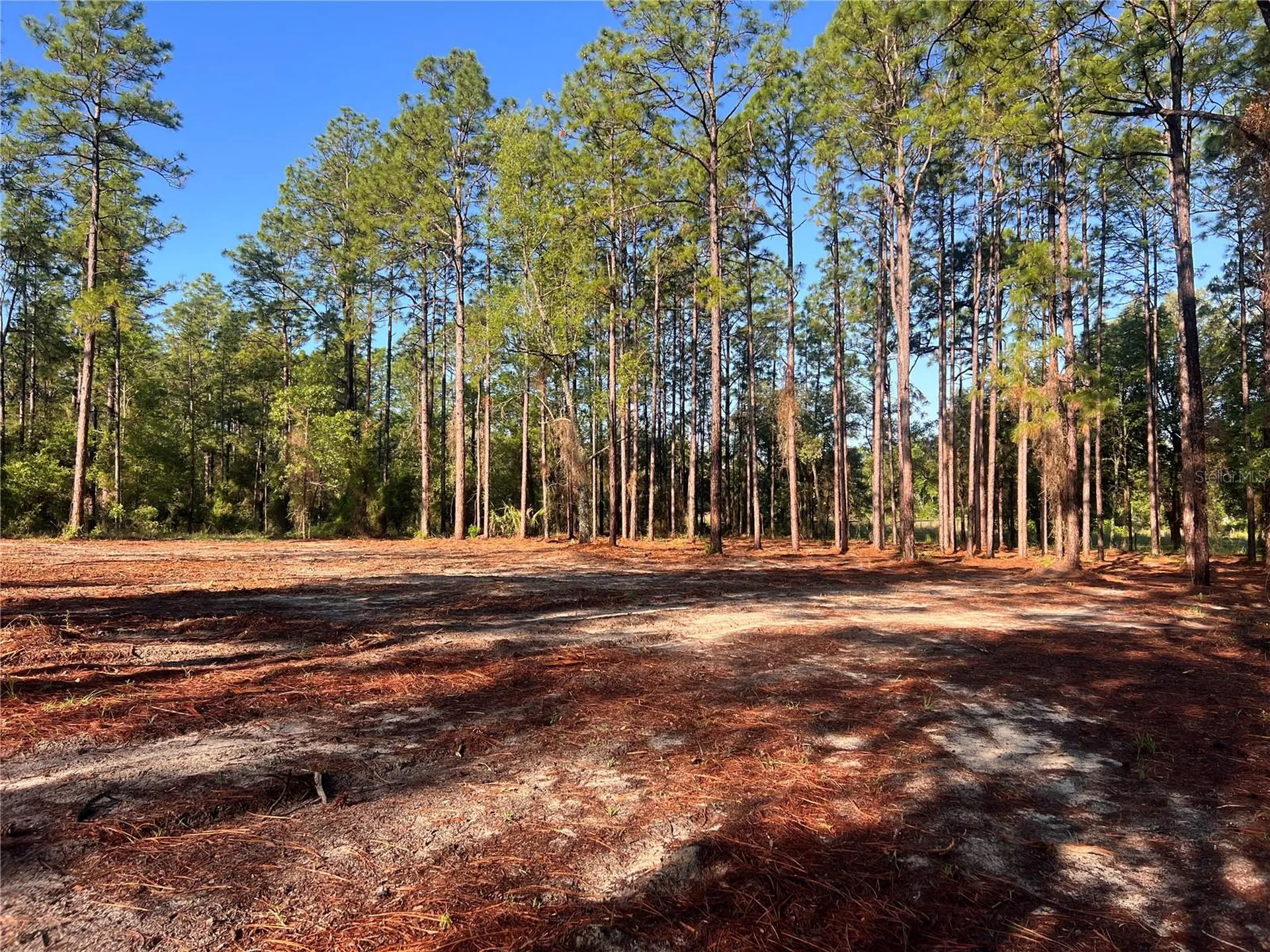 24 SE 130 Court Dunnellon FL 34431