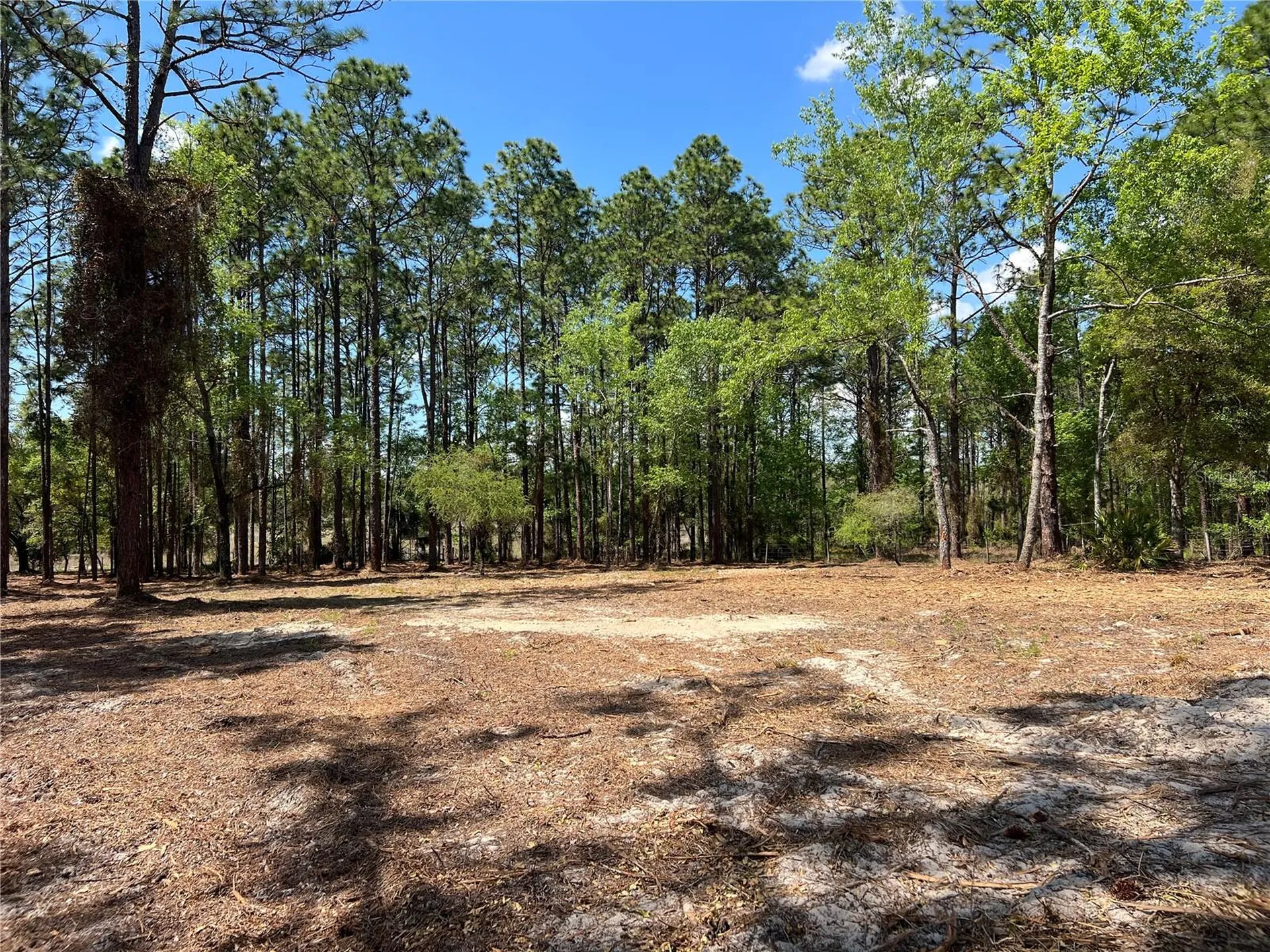 24 SE 130 Court Dunnellon FL 34431