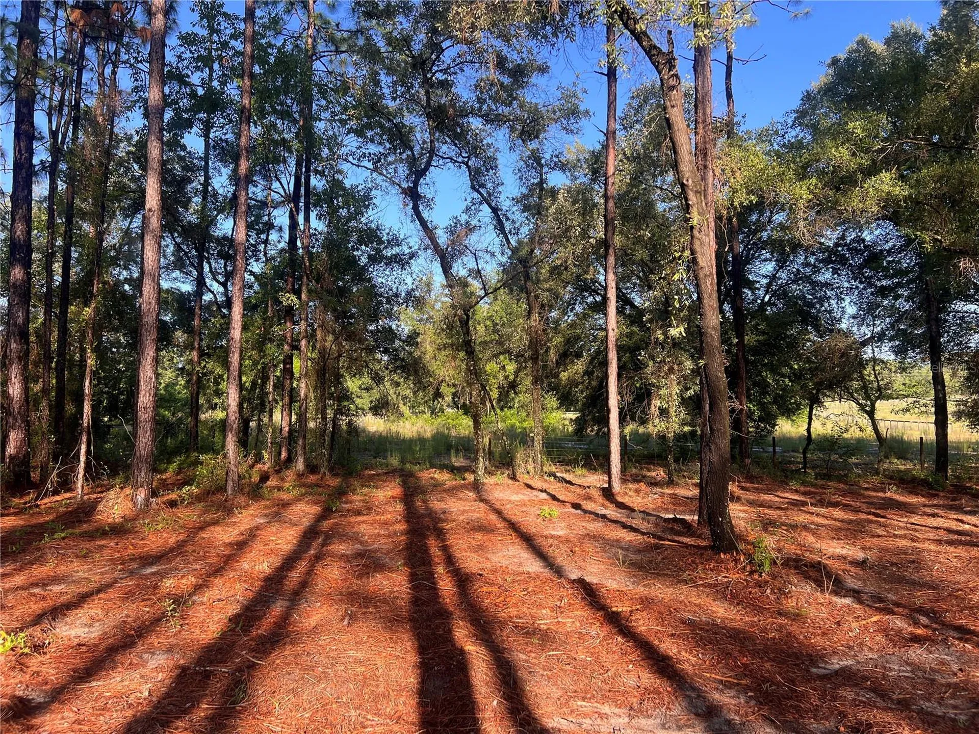 24 SE 130 Court Dunnellon FL 34431