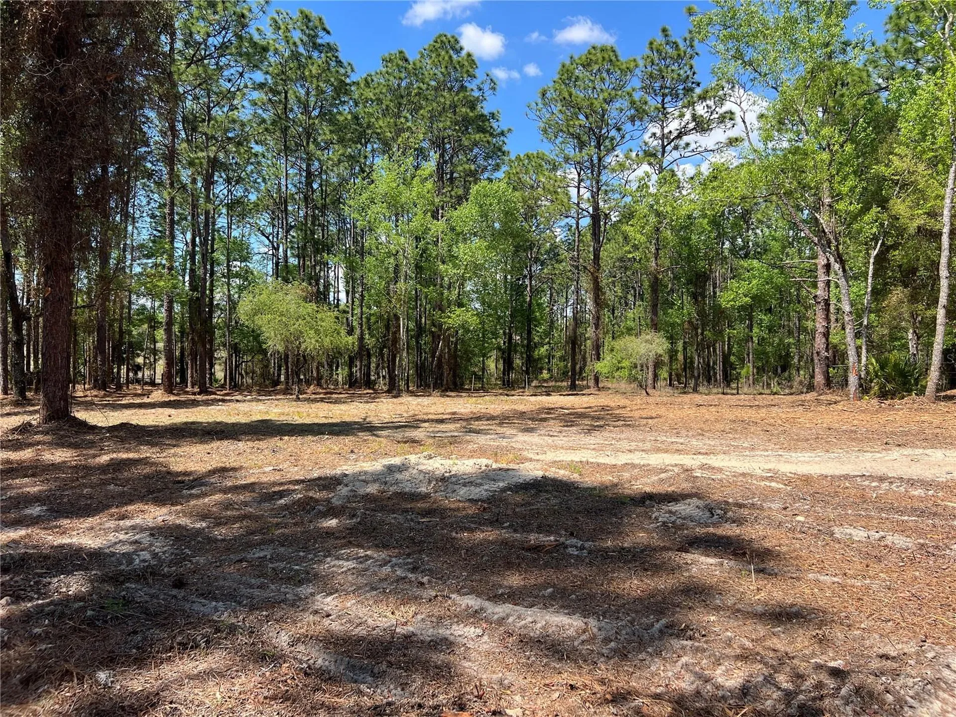 24 SE 130 Court Dunnellon FL 34431