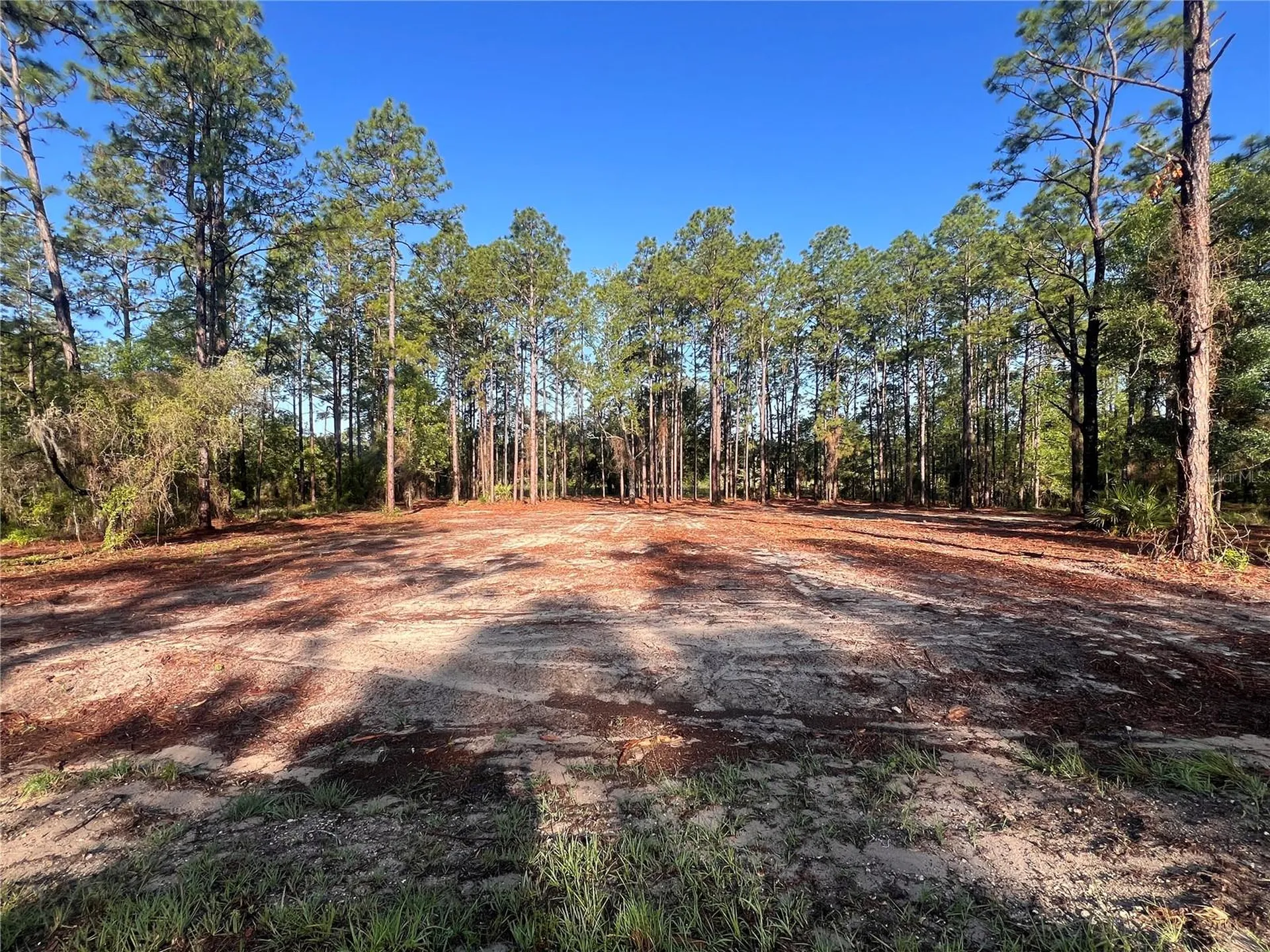24 SE 130 Court Dunnellon FL 34431