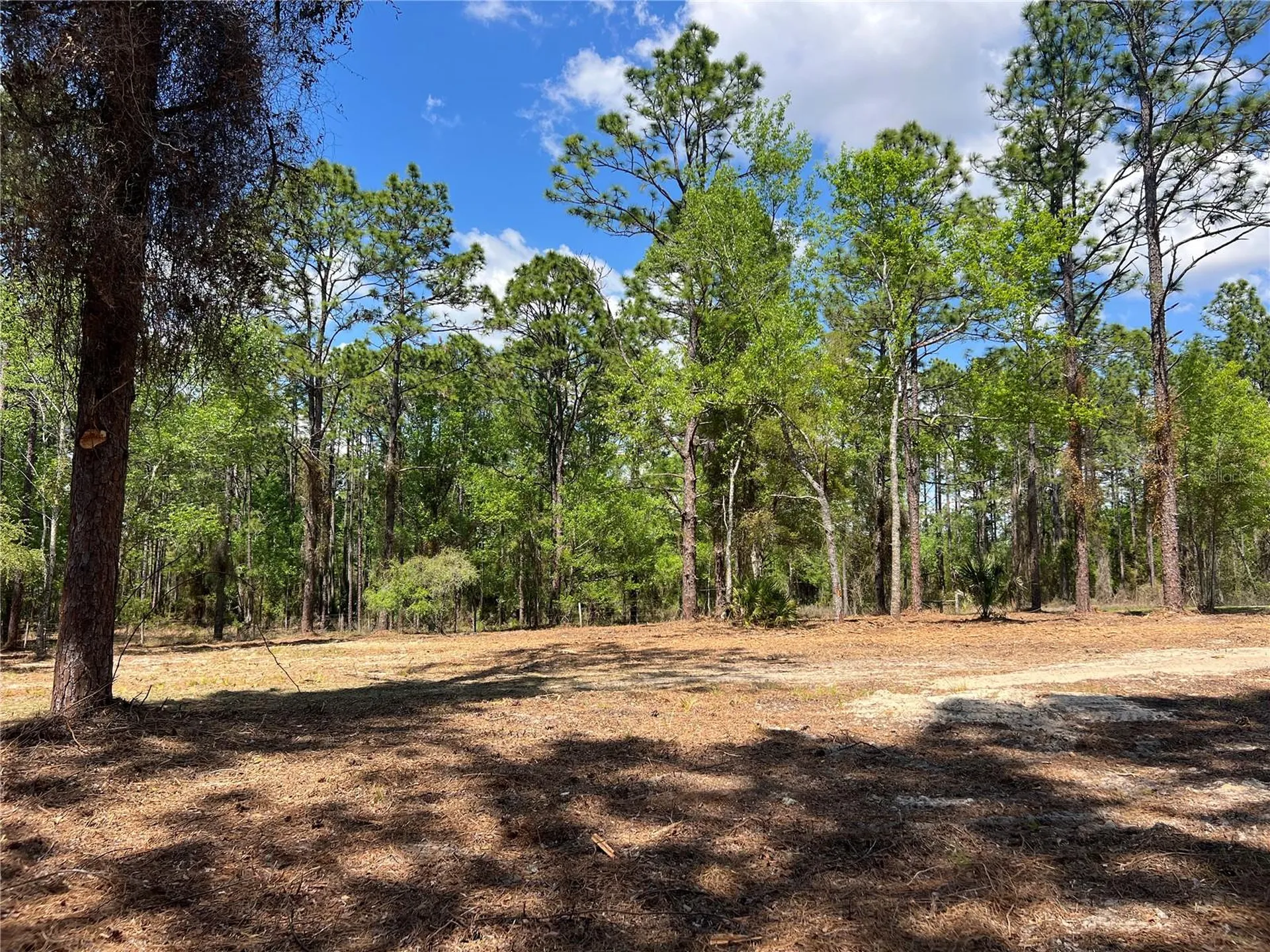 24 SE 130 Court Dunnellon FL 34431