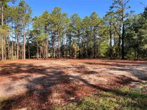 24 SE 130 Court Dunnellon FL 34431
