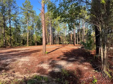 24 SE 130 Court Dunnellon FL 34431