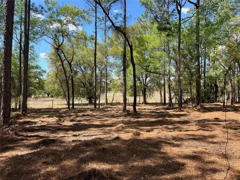 24 SE 130 Court Dunnellon FL 34431