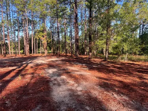 24 SE 130 Court Dunnellon FL 34431