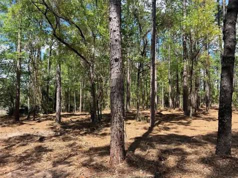 24 SE 130 Court Dunnellon FL 34431