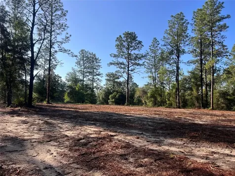 24 SE 130 Court Dunnellon FL 34431