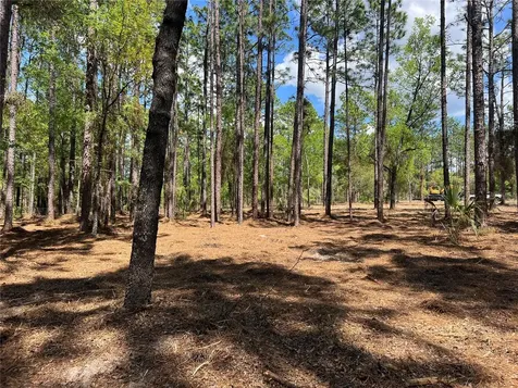 24 SE 130 Court Dunnellon FL 34431