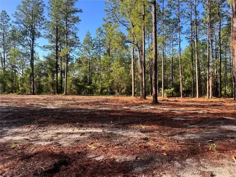 24 SE 130 Court Dunnellon FL 34431