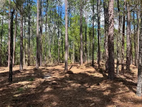 24 SE 130 Court Dunnellon FL 34431
