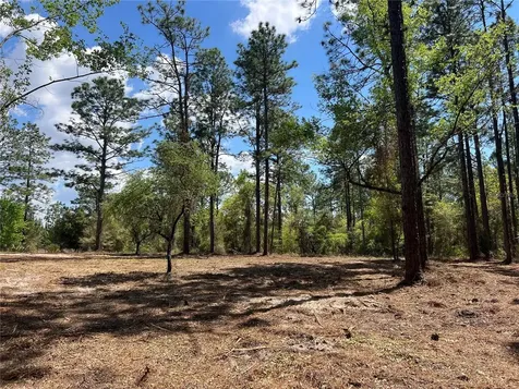 24 SE 130 Court Dunnellon FL 34431