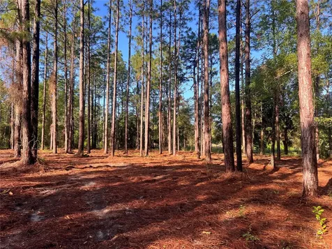 24 SE 130 Court Dunnellon FL 34431